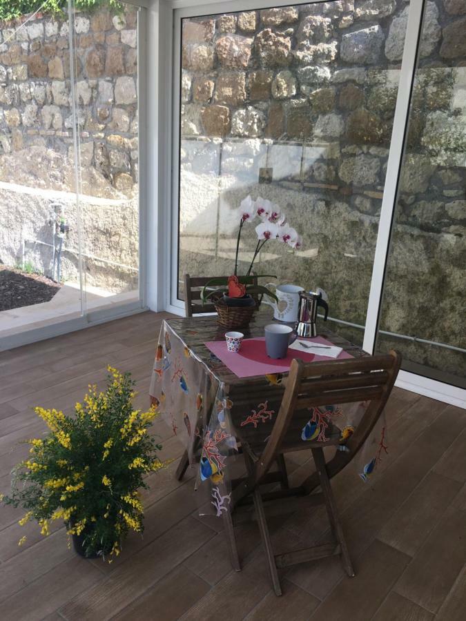 The Shabby House - Charming Seaside Retreat In Central Anzio, Steps From Beach And Train Station Dış mekan fotoğraf